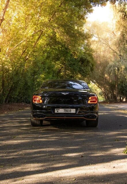 Bentley Continental 2021 - Luxury Car thumbnail NaN